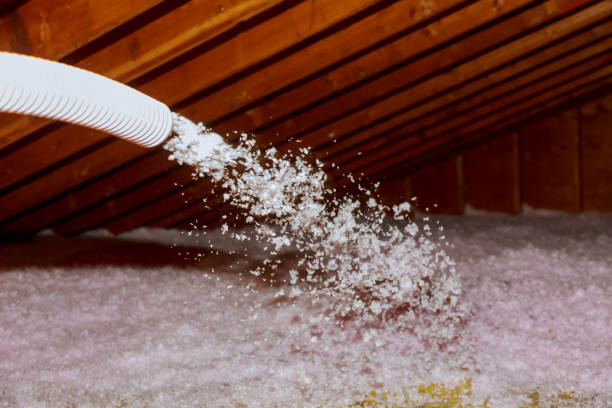 Best Local Insulation Services  in Hanley Hills, MO