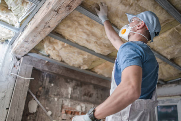 Best Garage Insulation Installation  in Hanley Hills, MO