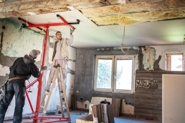 Best Insulation Contractor Near Me  in Hanley Hills, MO