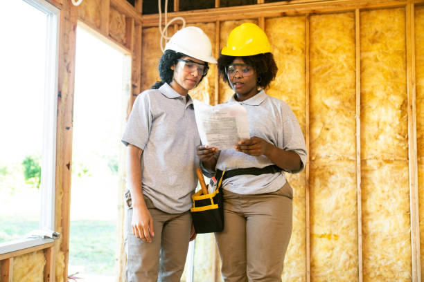 Best Professional Insulation Contractor  in Hanley Hills, MO