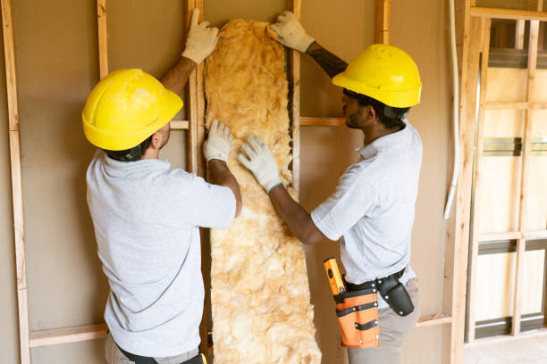 Best Insulation Inspection Services  in Hanley Hills, MO