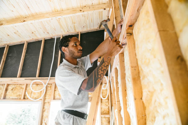 Best Affordable Insulation Services  in Hanley Hills, MO