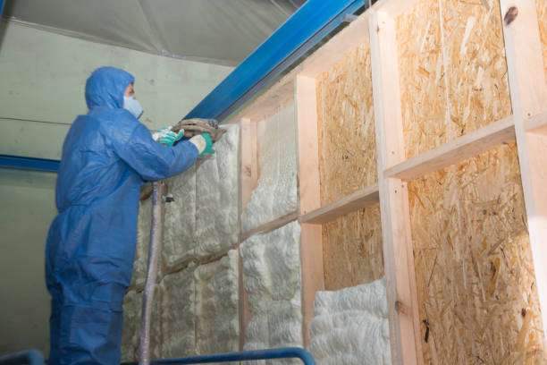 Best Blown-in Insulation  in Hanley Hills, MO